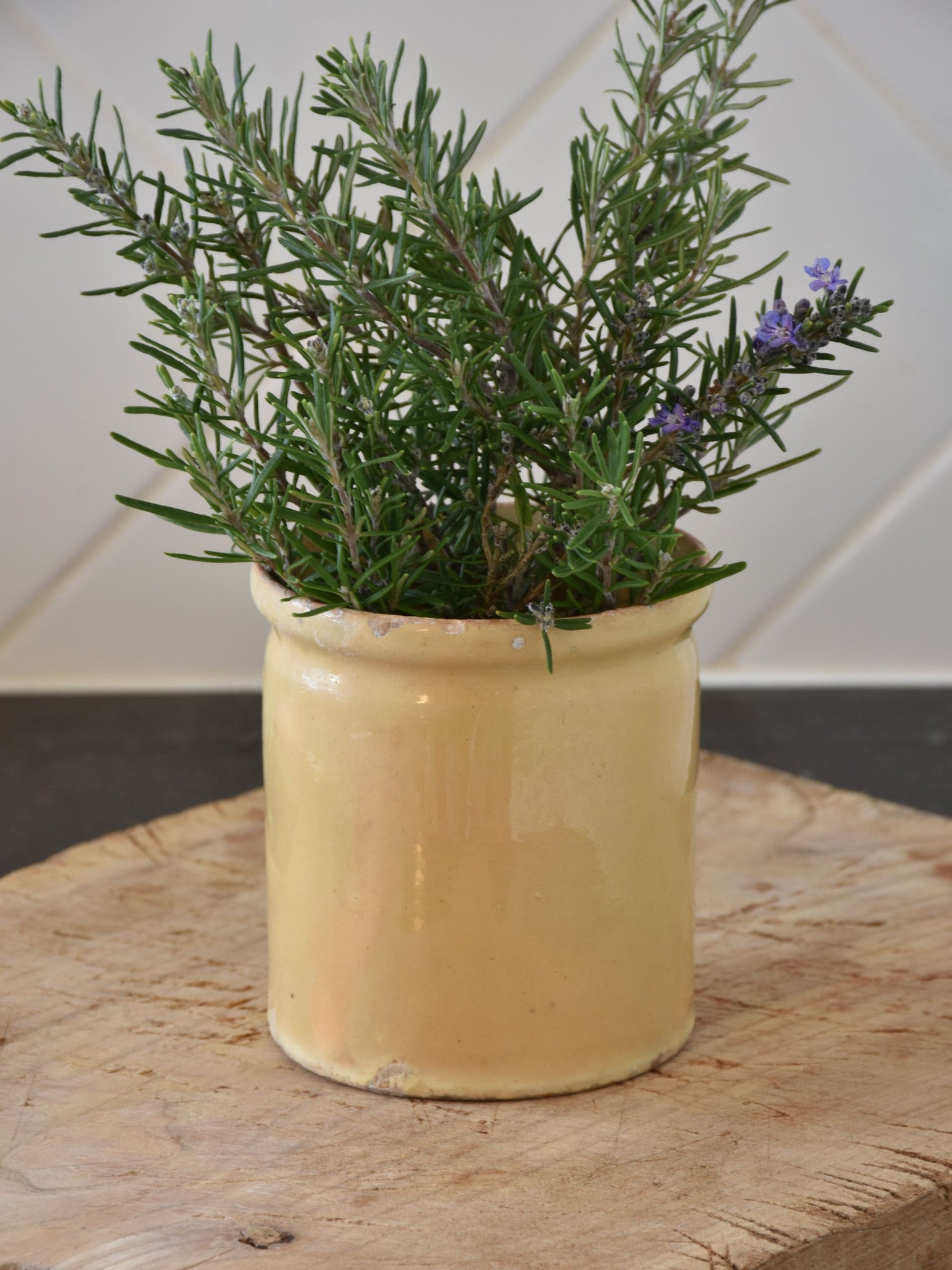 4"? French yellow ware preserving jar - late 19th century 2/2