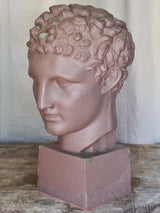 Plaster Bust of a Young Male