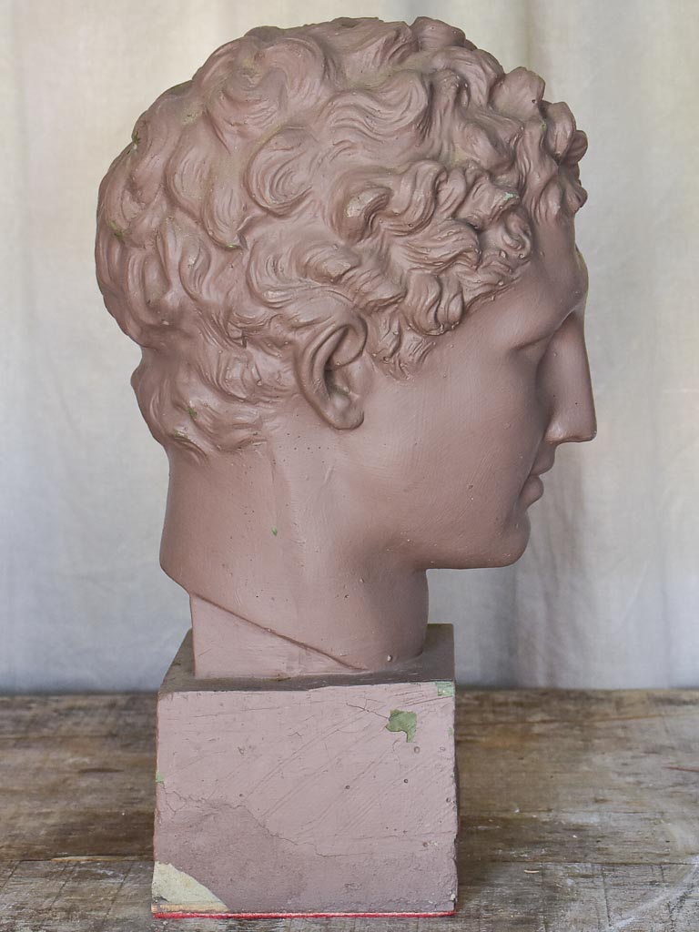 Plaster Bust of a Young Male