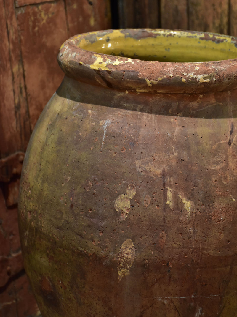 19th century French olive pot from Frejus 22”