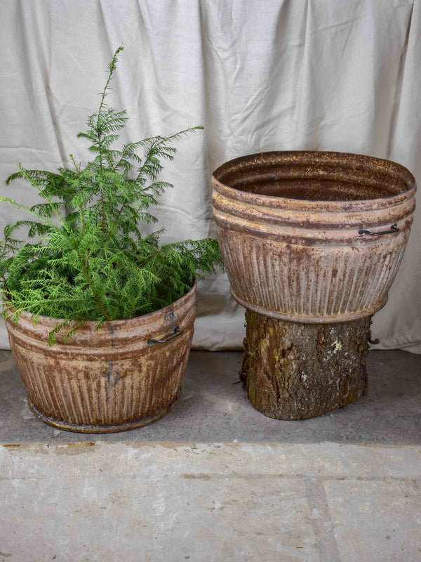 Two very large metal pot plant stands - antique French