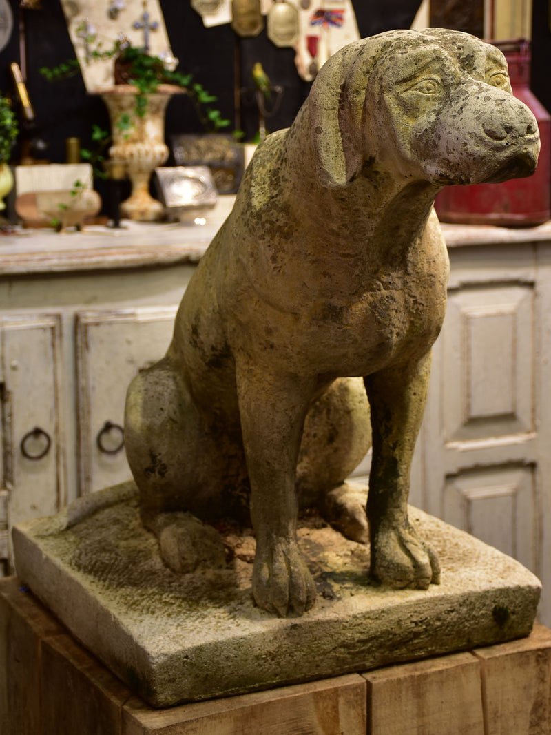 Pair of vintage French garden sculptures - dogs