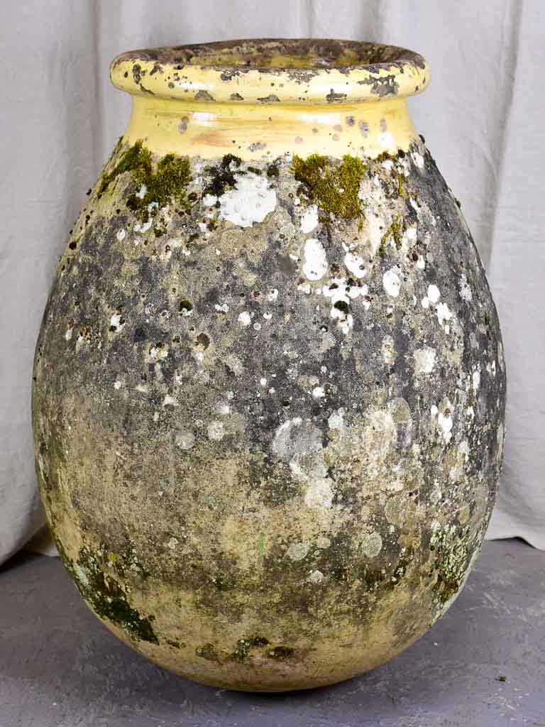 Very large Antique French Biot Jar - olive jar 39¾"