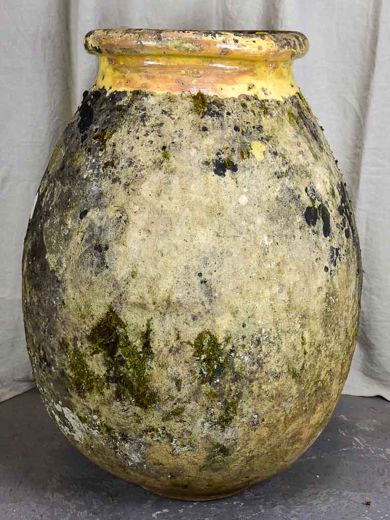 Very large Antique French Biot Jar - olive jar 39¾"