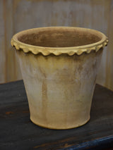 Antique white terracotta flower pot from Anduze