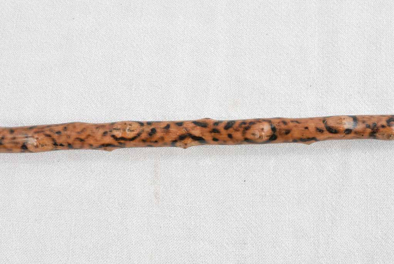 Classic 19th century French cane