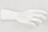 Spinelli's Elegant Plaster Hands