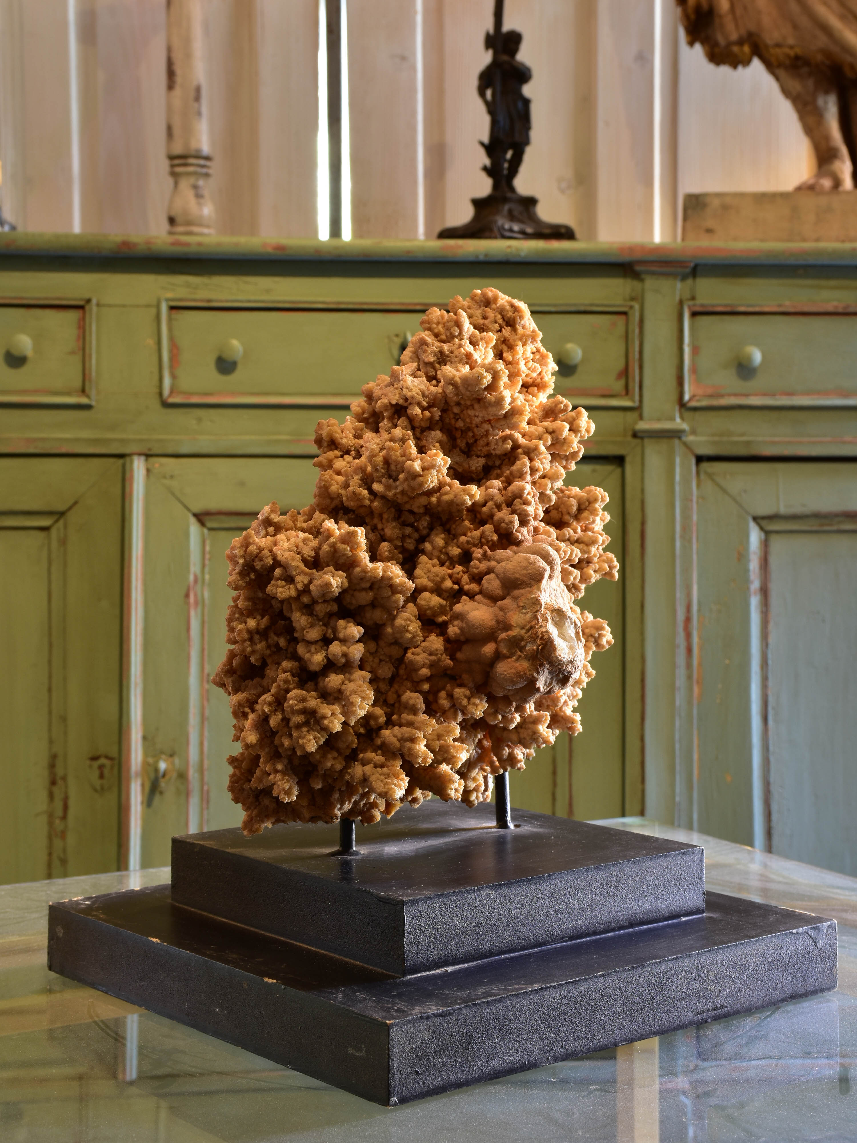 Large mounted coral on two tier square base