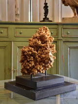 Large mounted coral on two tier square base