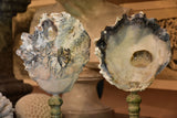 Pair of Napoleon III mounted shells with white barnacles