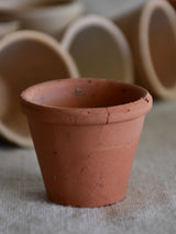 Lot of 20 miniature French terracotta seedling pots