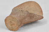 1960s sandstone Pichon shell vase 8¾"