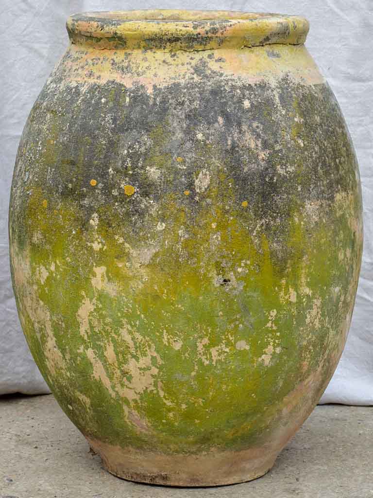 18th Century French Biot olive jar, stamped - 30¾"