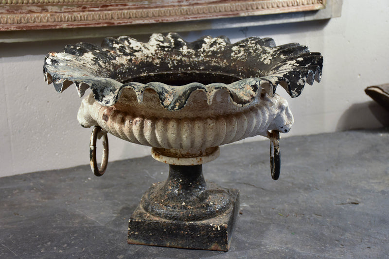 Antique French Medici urn with lion's head handles
