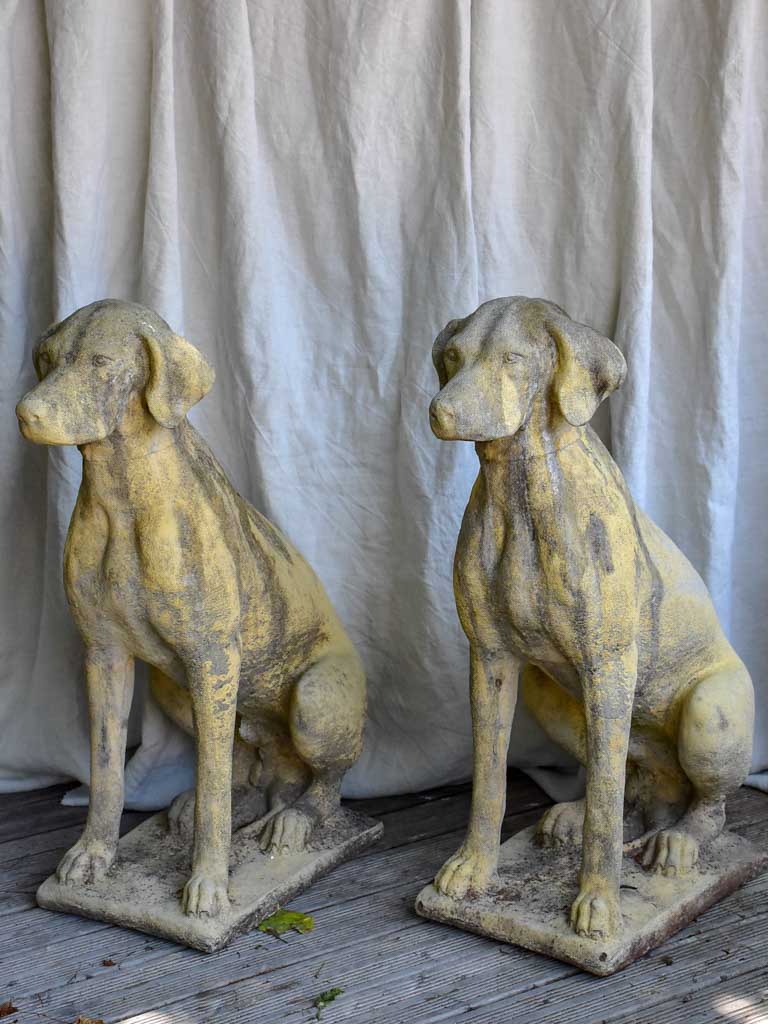 Pair of garden sculptures of dogs - 1950s