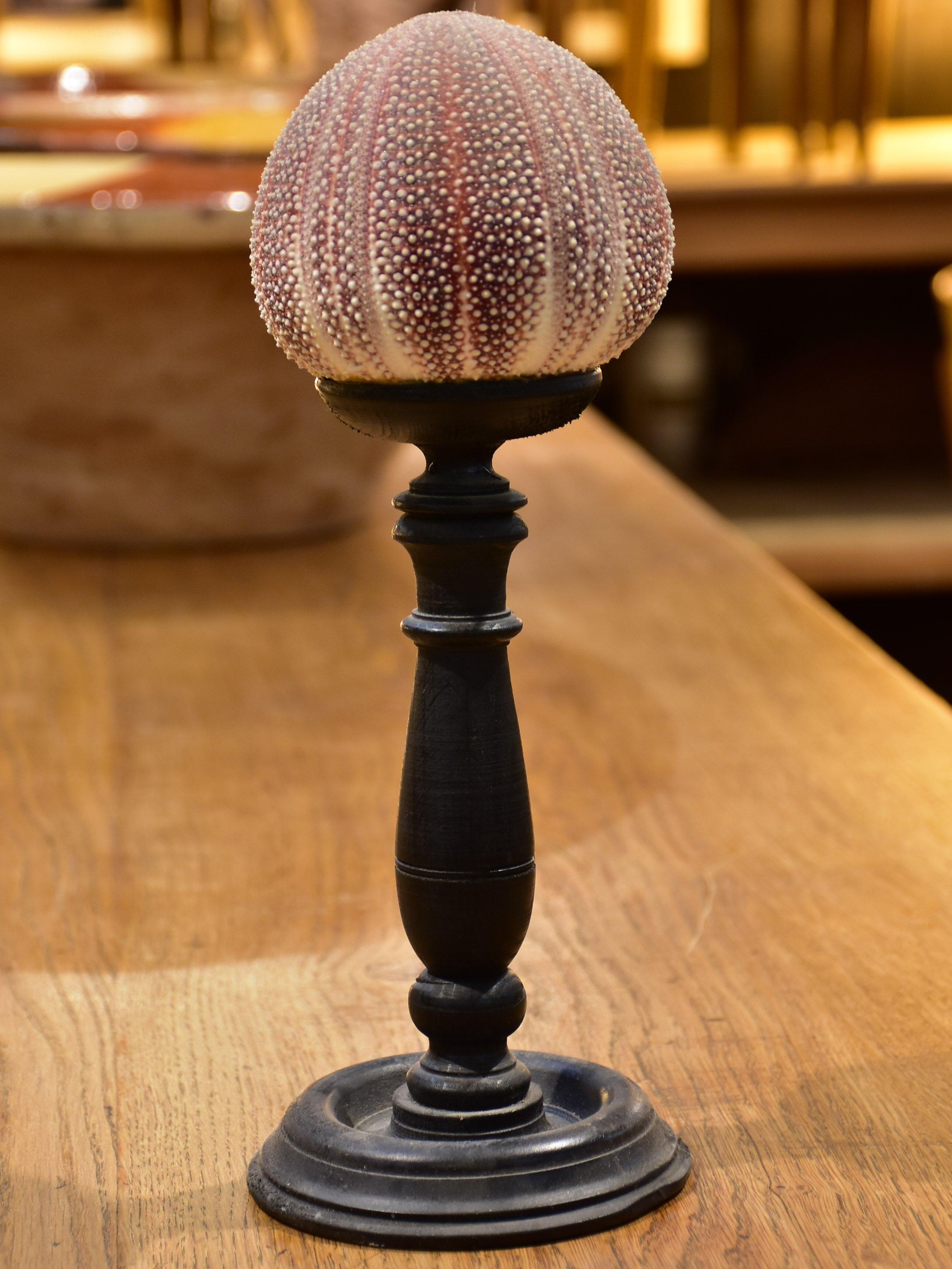 Mounted sea urchin on a Napoleon III style base