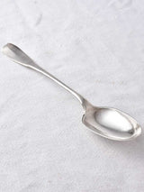 Elegant Poinçon Fermiers Généraux Serving Spoon