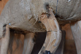 Antique French toy horse