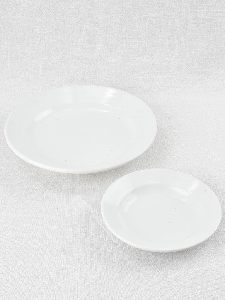 Elegant antique earthenware plates
