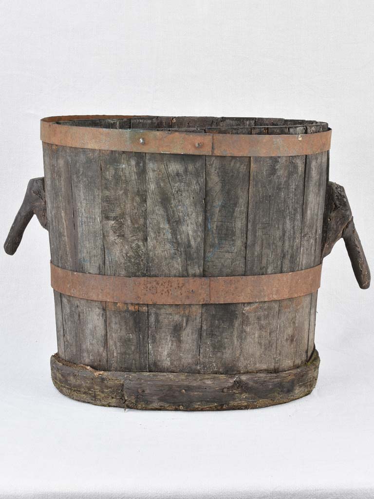 Aged Italian barrel for grape harvest