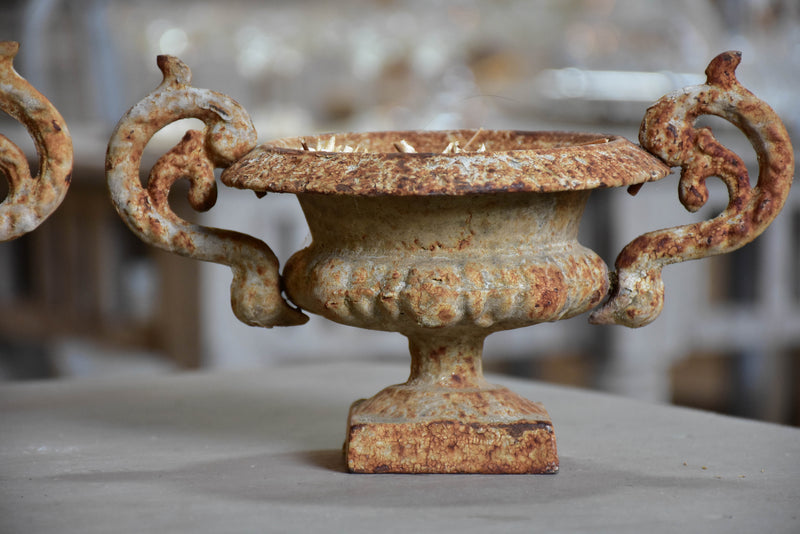 Pair of small antique French Medici urns