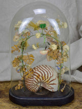 Napoleon III glass marriage dome
