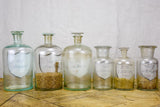 Collection of six 19th Century pharmacy jars - labelled with lids