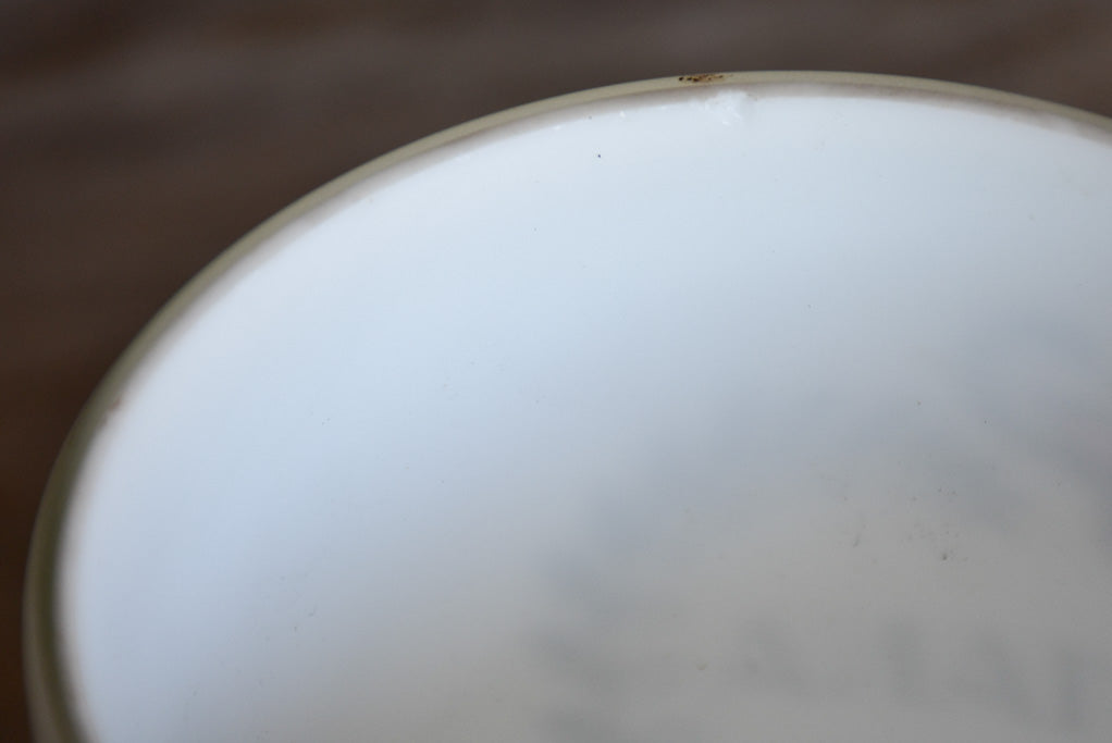 Tabacum 19th Century French apothecary jar - opaline