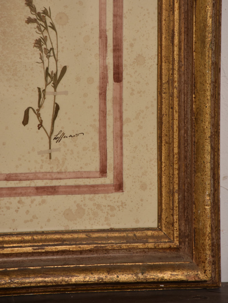 Italian botanical flowers in an antique gilded frame