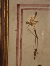 Italian botanical flowers in an antique gilded frame