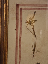 Italian botanical flowers in an antique gilded frame