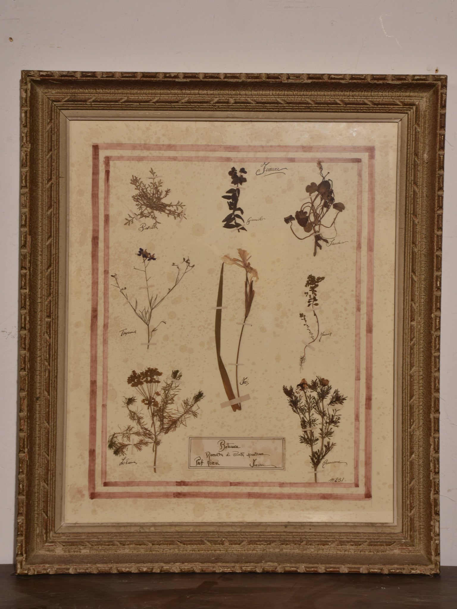 Italian botanical flowers in an antique frame