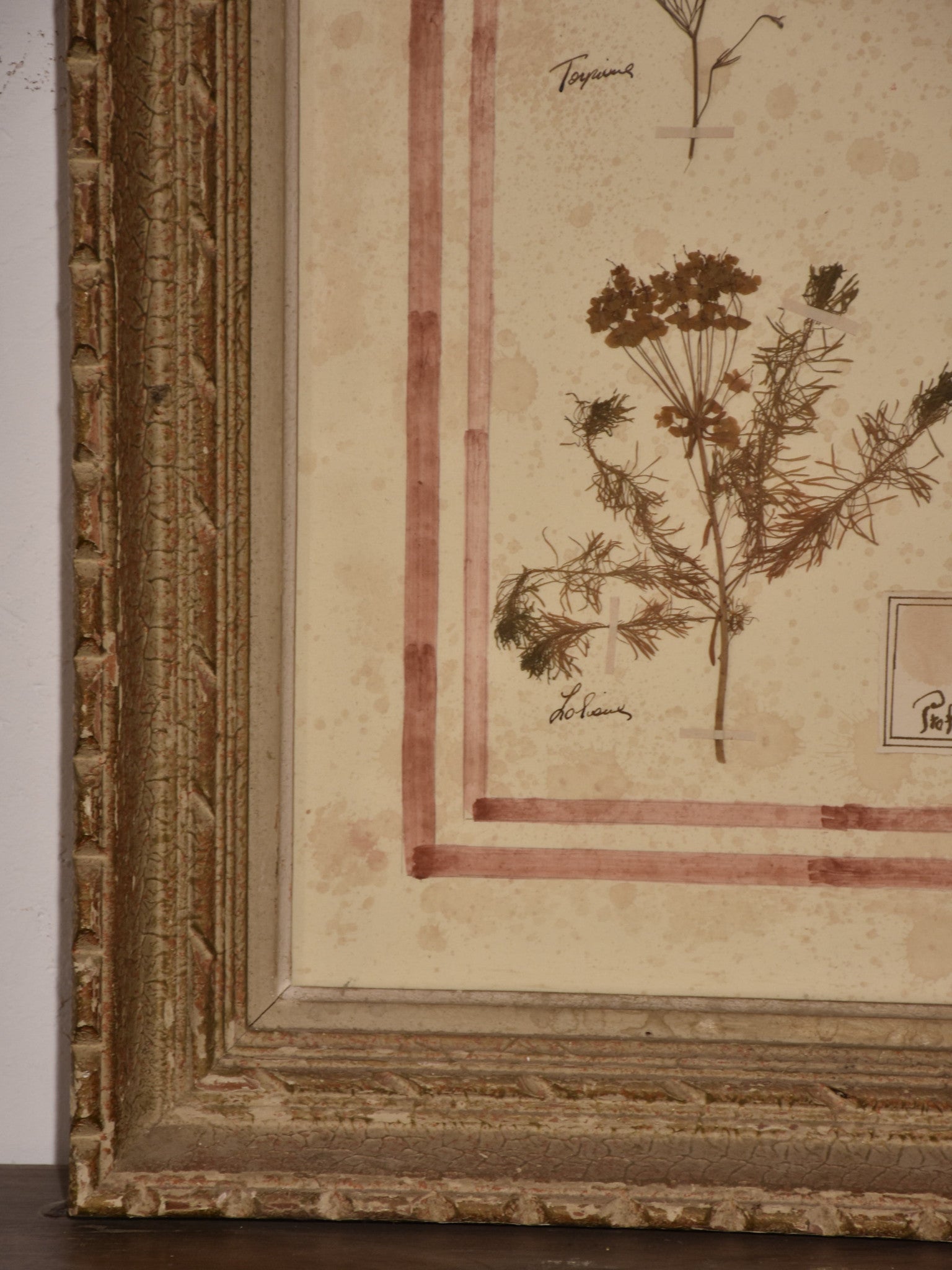 Italian botanical flowers in an antique frame