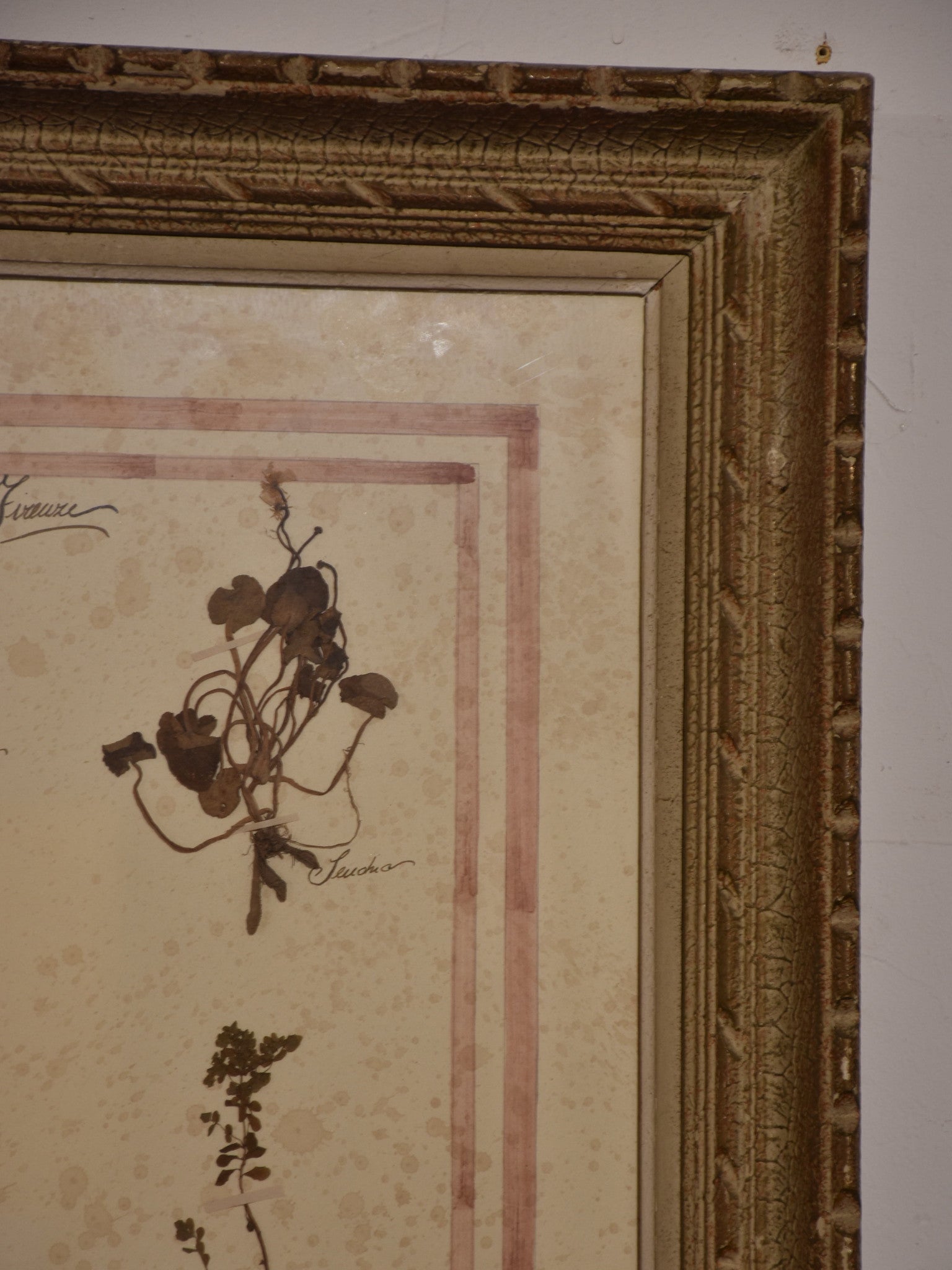 Italian botanical flowers in an antique frame