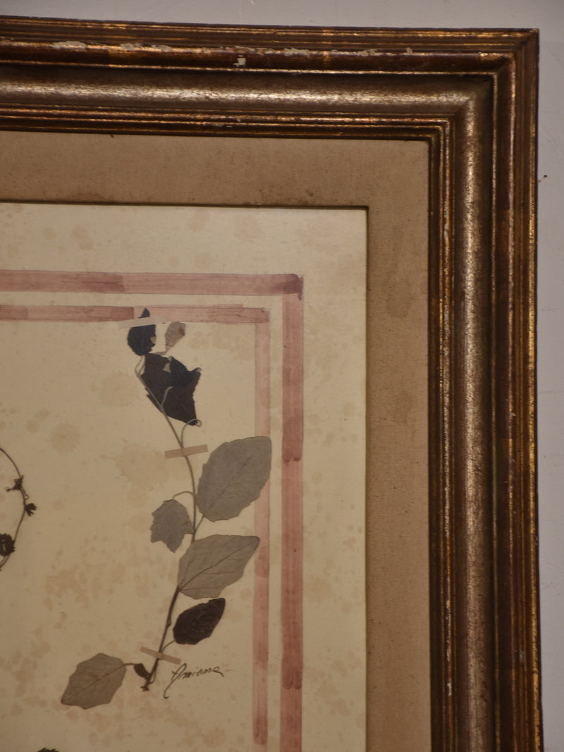 Italian botanical flowers in a 19th century frame