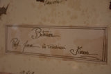 Italian botanical flowers in a 19th century frame