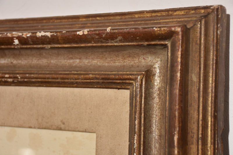 Italian botanical flowers in a 19th century frame