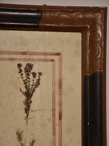 Italian assemblage of floral specimens