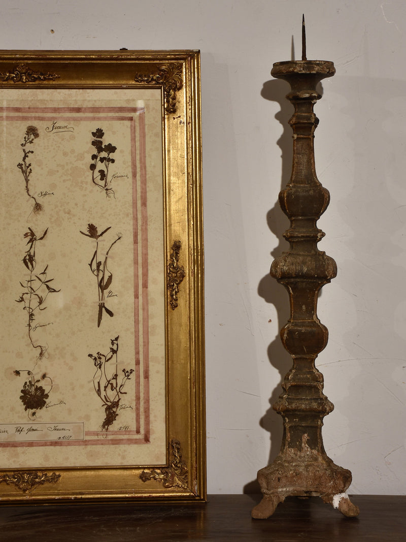 Large rustic 19th century Italian candlestick