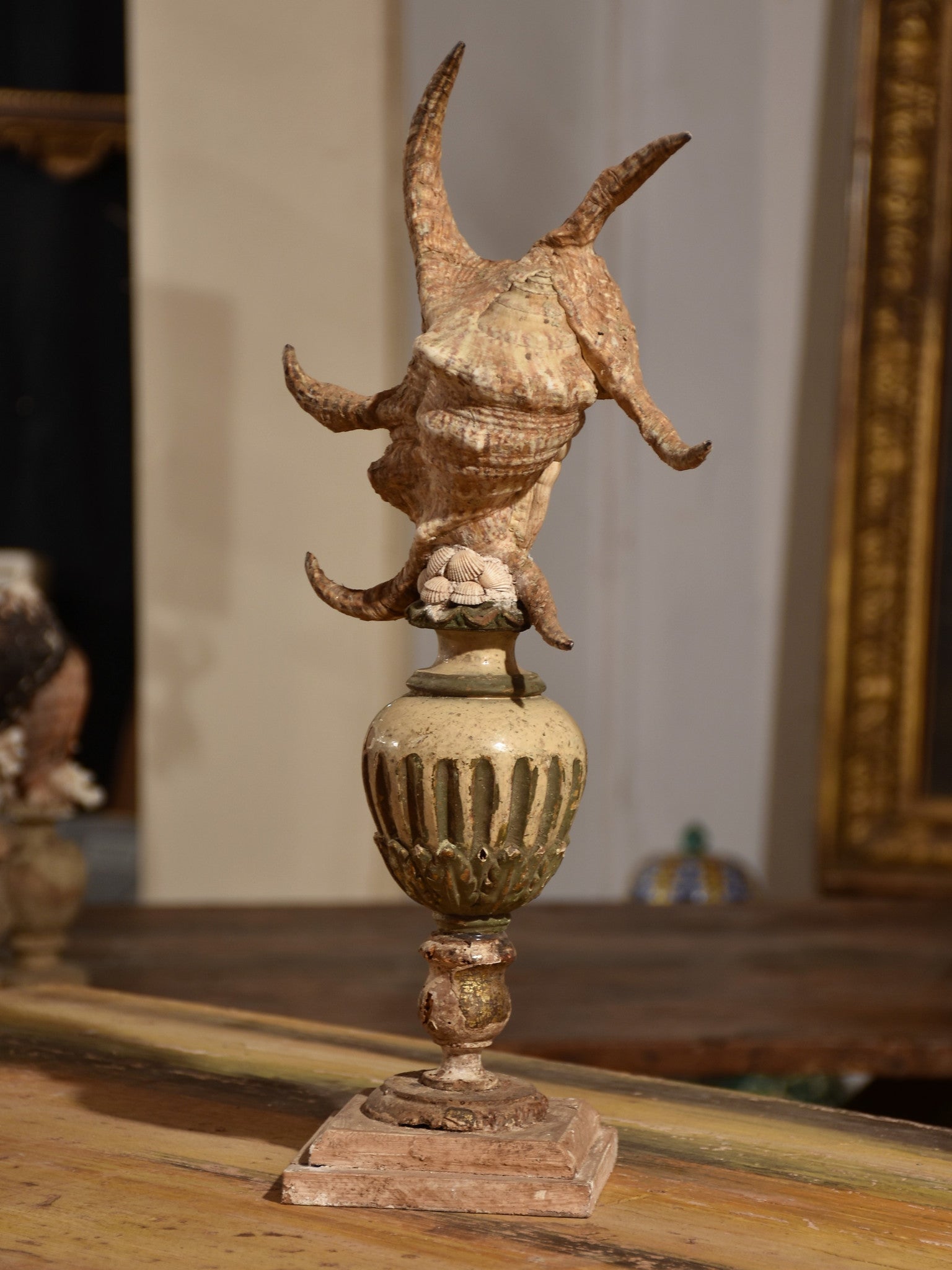 Italian mounted spider conch shell – Chez Pluie