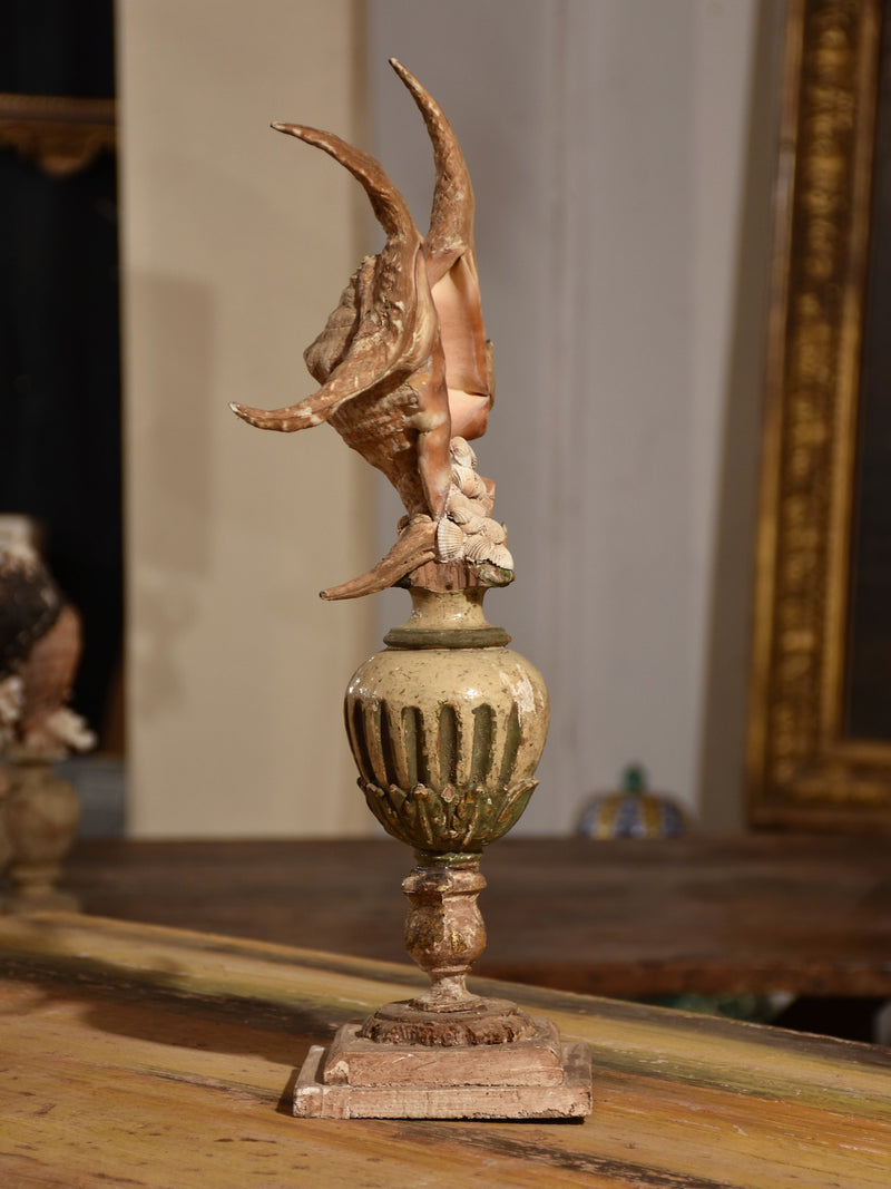 Italian mounted spider conch shell