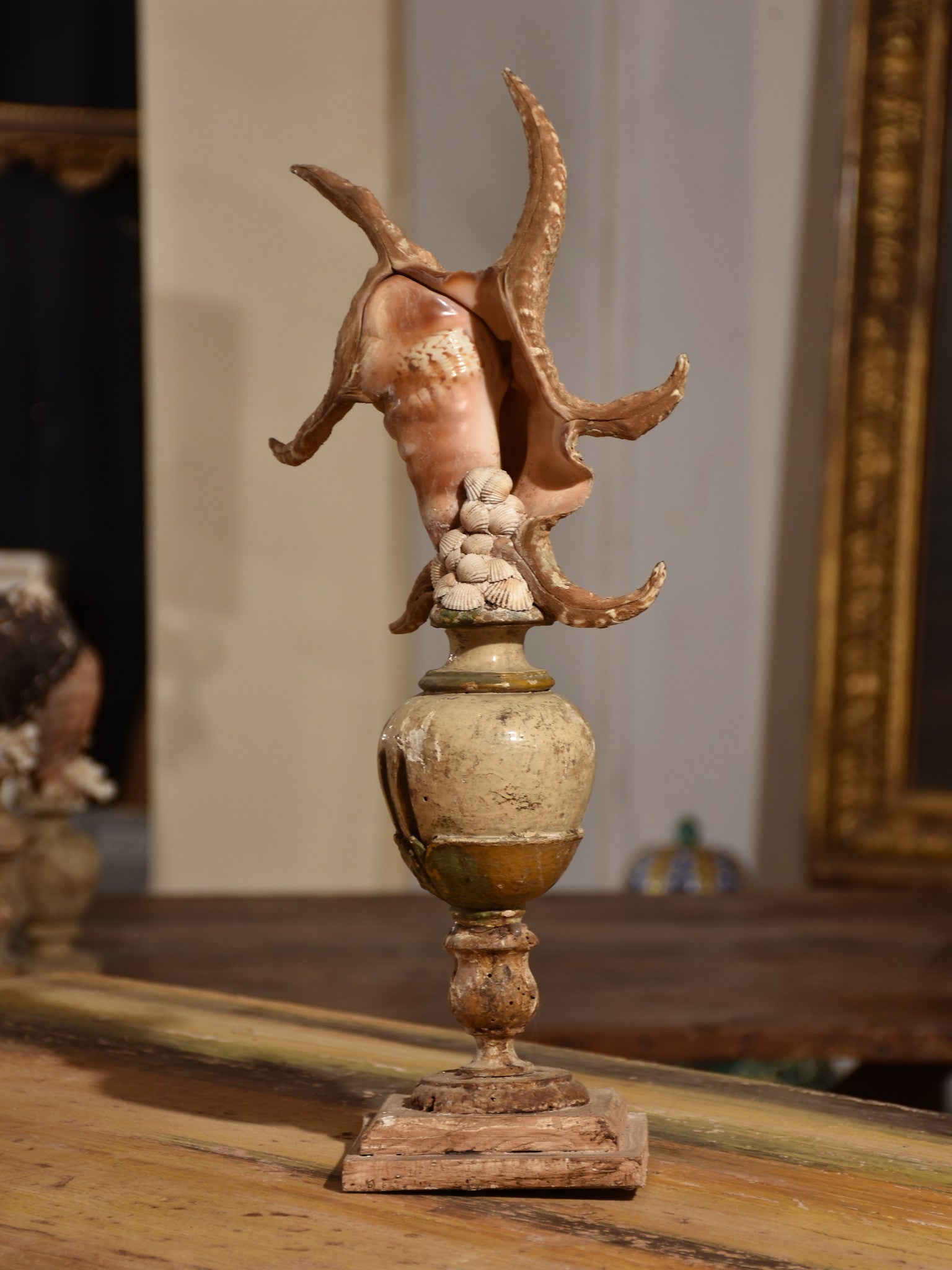 Italian mounted spider conch shell – Chez Pluie