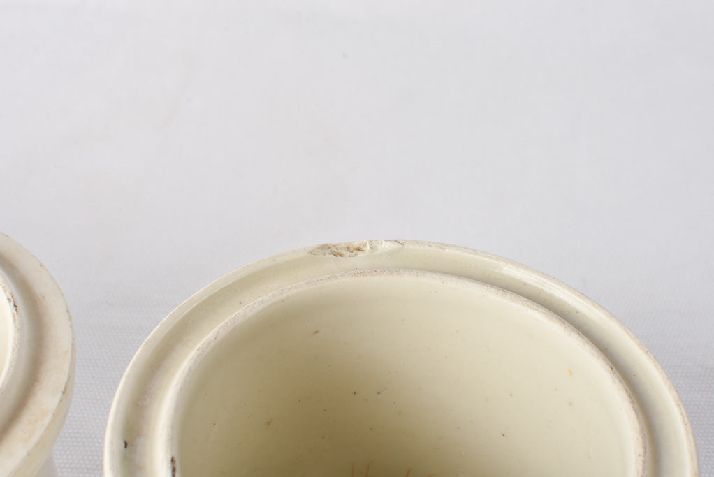 Rustic French Preserving Jars Collection