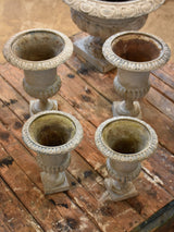 Collection of antique French Medici urns