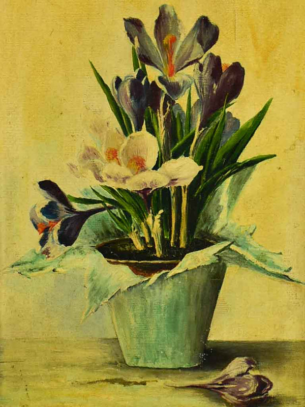 Antique French still life - crocus flowers in a pot. Oil on canvas, signed. 25¼ x 17¼""