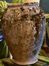 Early 20th century French garden pot