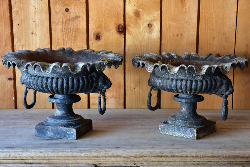 Pair of antique French garden planters with black patina