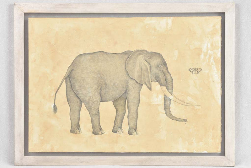 Andrea Collesano drawing - elephant & butterfly 23¾" x 32"