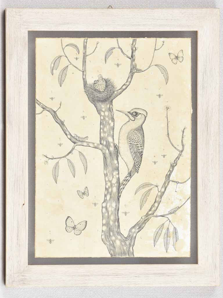 Modern Italian artist's inspired woodpecker drawing