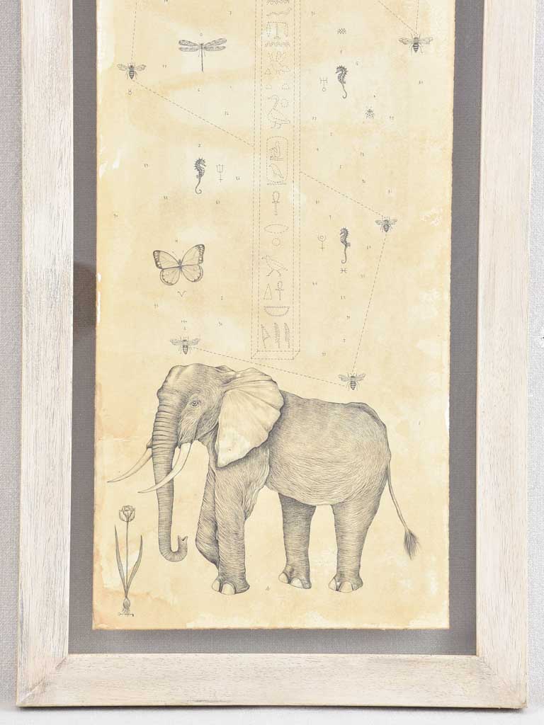 2 Andrea Collesano drawings - rhinoceros & elephant 47¾" x 14¼"